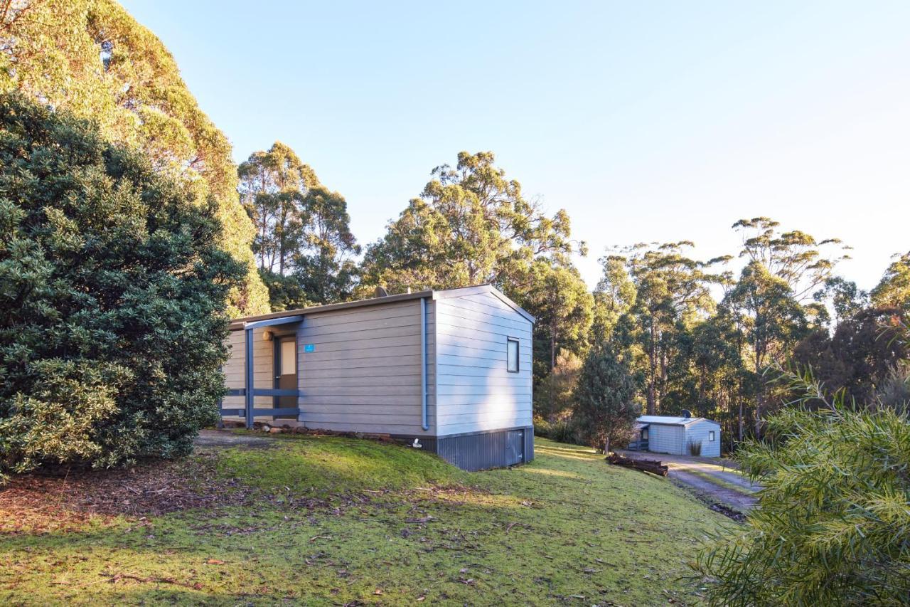 Nrma Port Arthur Holiday Park Exteriér fotografie